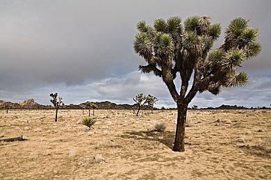 Paradox将发行工厂建设沙盒模拟游戏《FOUNDRY》