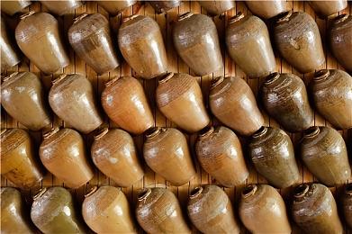 《幻兽帕鲁》大型联动《潮起泰拉瑞亚》版本已上线