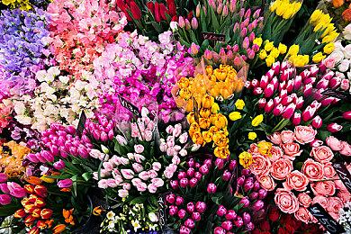 战术RPG《少女前线2：追放》正式发布 Steam版稍后